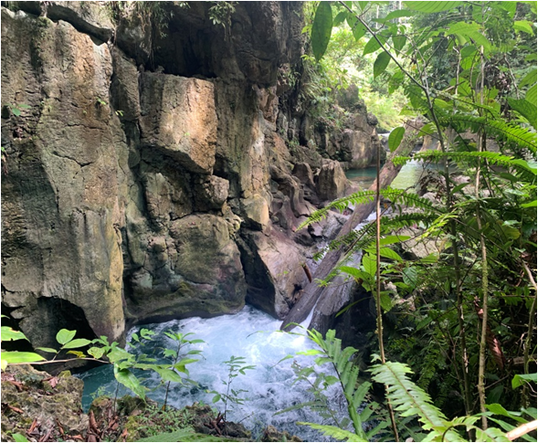 <b class="font-bara"><i class="bi bi-geo-fill h4"></i> SILOP FALLS</b> <br/>Silop Falls is located in Barangay Bolhoon, San Miguel, Surigao del Sur. This fall has clear water and is so cold that everyone will definitely enjoy swimming.
Disclaimer: This site is NOT YET OPEN to the PUBLIC.
                    : For future Tourism Product Development.